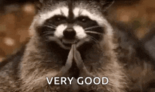 1758995919913.gif