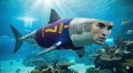 1765045569755.jpg 1765045569755.jpg