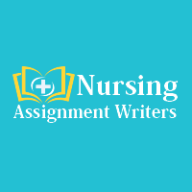 nursing assignment writer