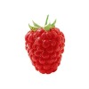 Raspberry