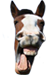 :horse: